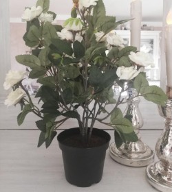Kunstige hvide roser i potte H: 34 cm.  - 2