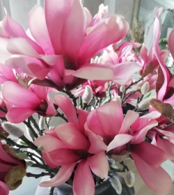 Kunstig rosa magnolia L: 50 cm. pr. gren - 2